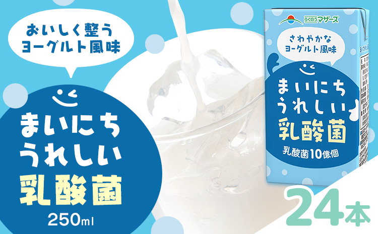 常温保存可能 まいにちうれしい 乳酸菌 ヨーグルト風味 250ml×24本 合同会社たべたせいか《30日以内に出荷予定(土日祝除く)》熊本県 菊池市 紙パック ヨーグルト飲料 乳酸菌 ドリンク 飲み物 飲料 常温保存 国産 熊本県産 ---016-1506---