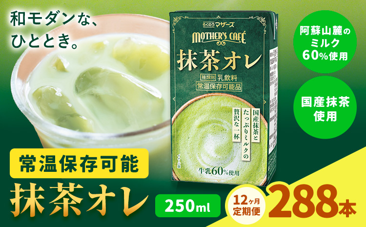 【12ヶ月定期便】250ml×24本／月×12回（計288本） 抹茶・オ・レ 合同会社たべたせいか《お申し込みの翌月から出荷》 抹茶オーレ 抹茶オレ 抹茶ミルク 抹茶 抹茶 乳製品 乳飲料 クロレラ 飲み物 飲料 常温保存 お取り寄せ 国産抹茶 熊本県産 菊池市 送料無料---0016-3163---