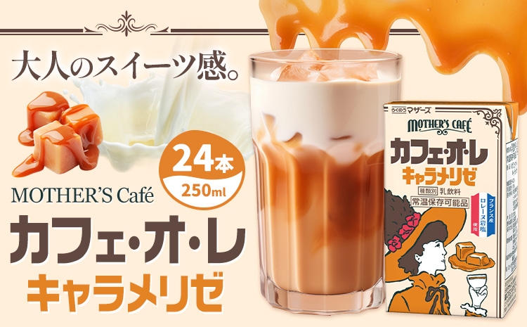 常温保存可能 カフェオレ キャラメリゼ 250ml×24本 1ケース 合同会社たべたせいか《30日以内に出荷予定(土日祝除く)》熊本県 菊池市 コーヒー牛乳 カフェ・オ・レ キャラメル 乳飲料 乳性飲料 らくのうマザーズ ドリンク 飲み物 飲料 セット 紙パック---016-1518---