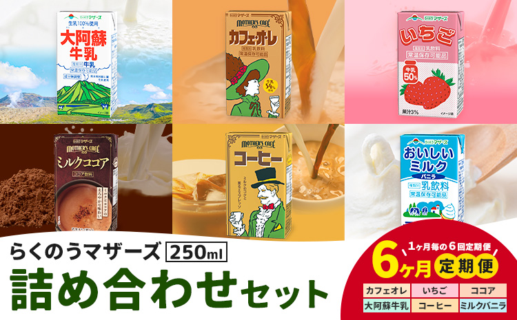 【6ヶ月定期便】常温保存可能 らくのうマザーズ 詰め合わせ セット合同会社たべたせいか《申込月の翌月から出荷開始》熊本県 菊池市 カフェオレ いちご ミルクココア 大阿蘇牛乳 コーヒー おいしいミルクバニラ 乳飲料 乳性飲料 らくのうマザーズ ドリンク---016-2435---