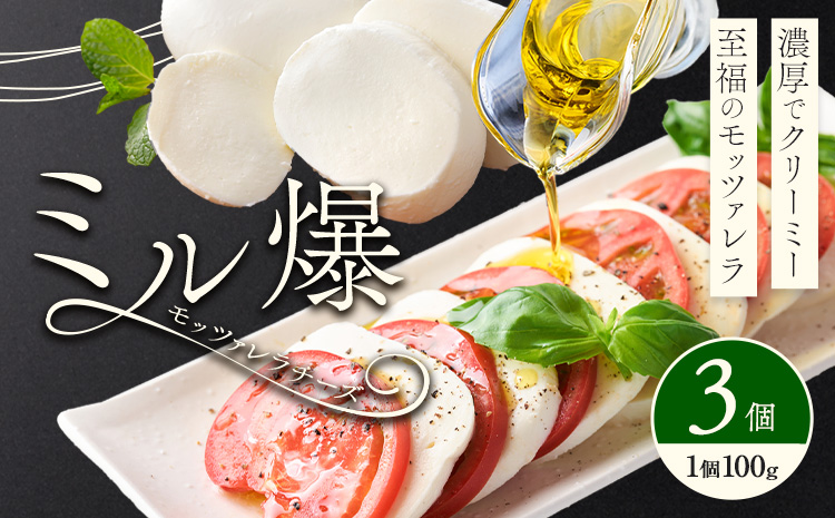 モッツァレラチーズ ミル爆 3個 チーズ モザレラ 株式会社フォルナ・ヴェスタ《90日以内に出荷予定(土日祝除く)》フレッシュ カプレーゼ おつまみ 前菜 手作り 国産 熊本県 菊池市 送料無料---018-1985---