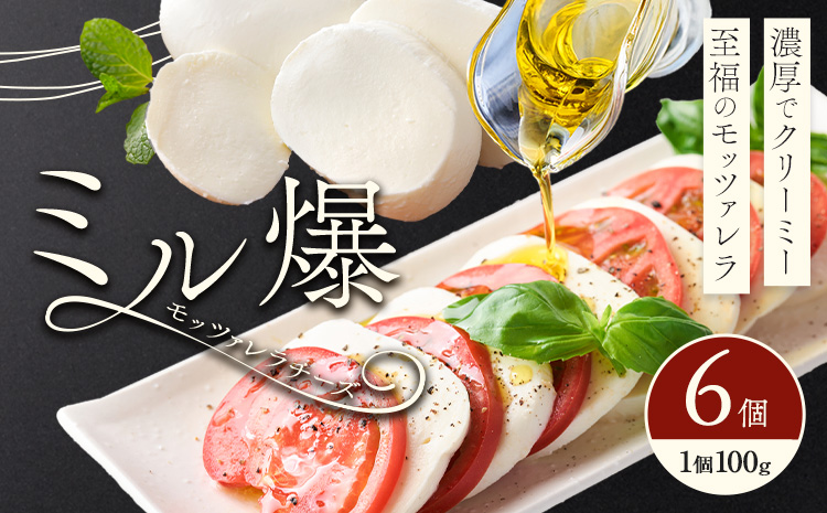 モッツァレラチーズ ミル爆 6個 チーズ モザレラ 株式会社フォルナ・ヴェスタ《90日以内に出荷予定(土日祝除く)》フレッシュ カプレーゼ おつまみ 前菜 手作り 国産 熊本県 菊池市 送料無料---018-1986---