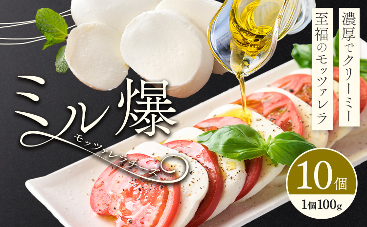 モッツァレラチーズ ミル爆 10個 チーズ モザレラ 株式会社フォルナ・ヴェスタ《90日以内に出荷予定(土日祝除く)》フレッシュ カプレーゼ おつまみ 前菜 手作り 国産 熊本県 菊池市 送料無料---018-1987---