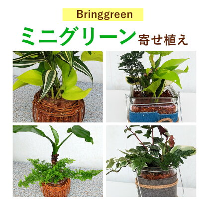 ミニグリーン 寄せ植え bring green Fleurbranch 《90日以内に出荷予定(土日祝除く)》熊本県 菊池市 観葉植物 植物 インテリア ガーデン 雑貨 エコ素材 贈物 プレゼント---020-2171---