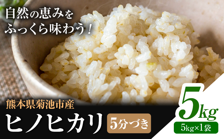 米 ヒノヒカリ 5分づき 5kg 内容量 1袋 5kg 合同会社くまもとごはん 《30日以内に出荷予定(土日祝除く)》 熊本県 菊池市 お米 分づき米 九州産 熊本県産 白米 無洗米 ひのひかり 送料無料---026-0522---