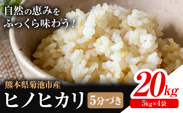 米 ヒノヒカリ 5分づき 20kg 内容量 1袋 5kg 合同会社くまもとごはん 《30日以内に出荷予定(土日祝除く)》 熊本県 菊池市 お米 分づき米 九州産 熊本県産 白米 無洗米 ひのひかり 送料無料---026-0524---