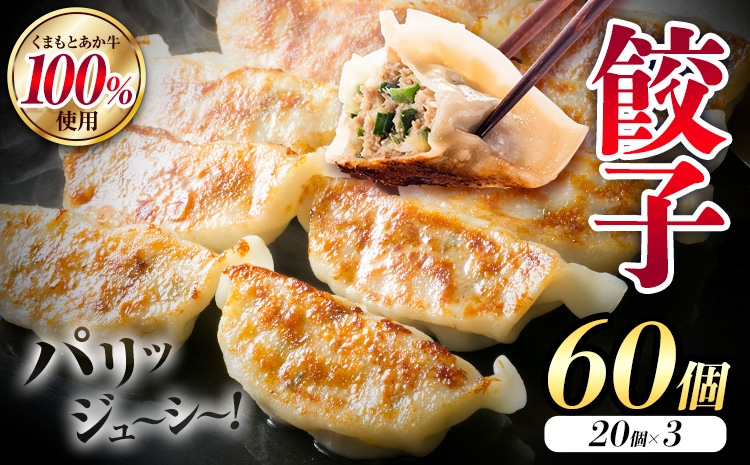 くまもと あか牛 100％ 餃子 20個入り×3(計60個) 牛肉《30日以内に出荷予定(土日祝除く)》---034-5010---