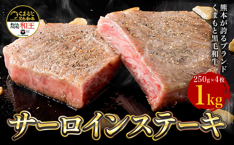 熊本県産 黒毛和牛 サーロイン ステーキ 計1kg（250g×4）《90日以内に出荷予定(土日祝除く)》国産 牛肉st-p----039-2007---