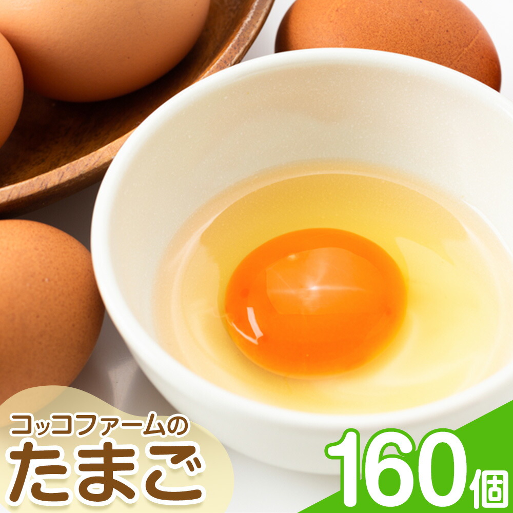 コッコファームのたまご 160個 コッコファーム《90日以内に出荷予定(土日祝除く)》熊本県 菊池市 卵 鶏卵 玉子 たまご 家庭用 熊本県産 九州産 冷蔵 送料無料---043-2019---
