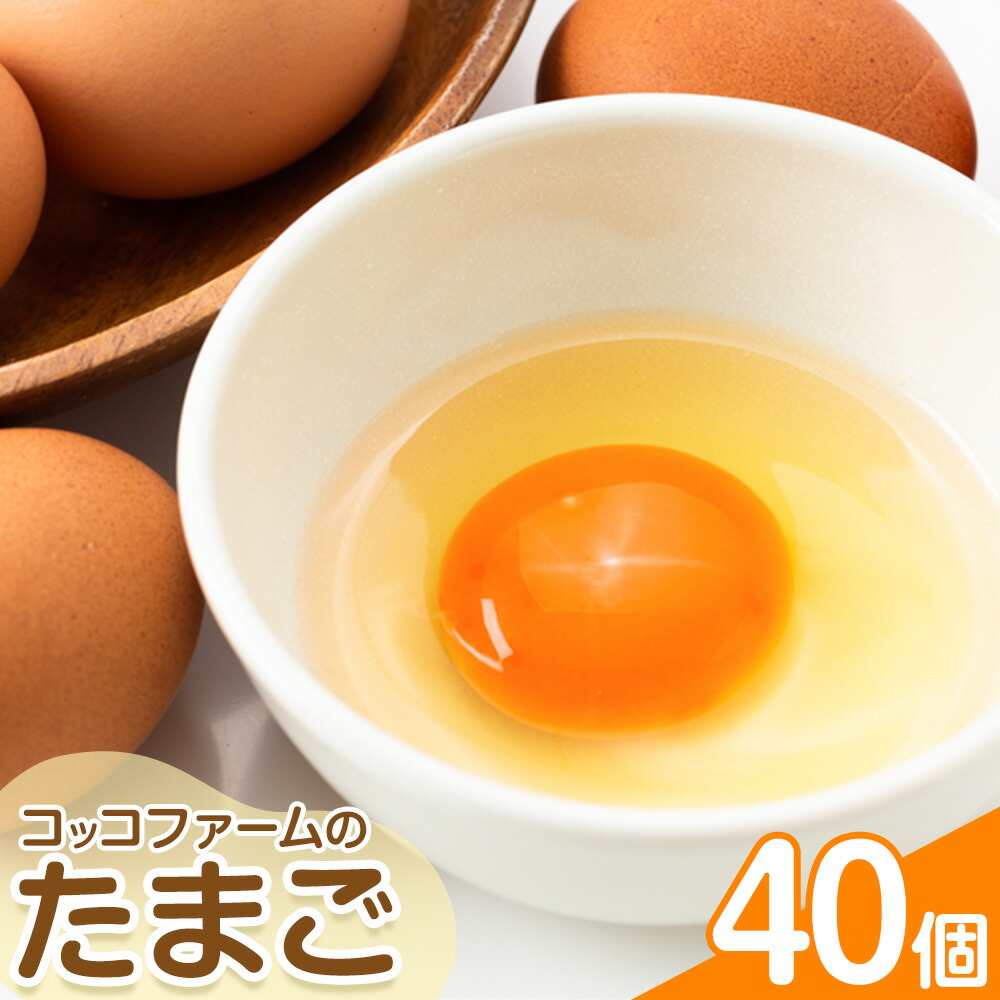 コッコファームのたまご 40個 コッコファーム《90日以内に出荷予定(土日祝除く)》熊本県 菊池市 卵 鶏卵 玉子 たまご 家庭用 熊本県産 九州産 冷蔵 送料無料---043-2444---