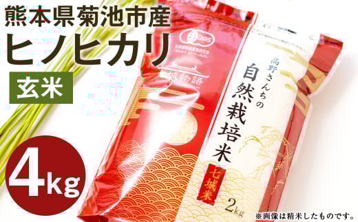 【通常パック】熊本県菊池産 ヒノヒカリ 玄米 計4kg（2kg×2パック）七城物語 高野さんちの自然栽培米《30日以内に出荷予定(土日祝除く)》 ---045-3023---