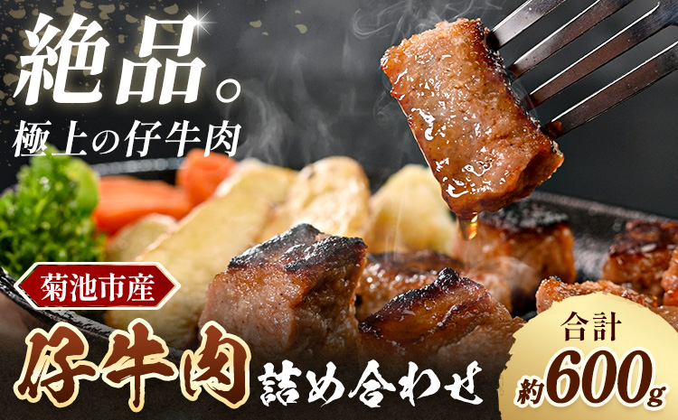 菊池市産 仔牛肉詰め合わせ 合計約600g セット 宮川ファーム《90日以内に出荷予定(土日祝除く)》 部位おまかせ ランダム お肉 牛肉 ジャージー仔牛肉 国産 熊本県産 九州産 冷凍 送料無料---048-2024---