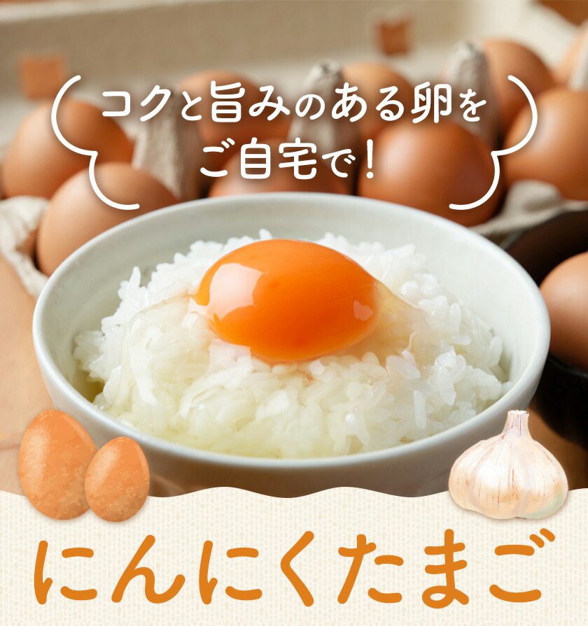 卵 にんにくたまご 内容量 30個 株式会社つづき《90日以内に出荷予定(土日祝除く)》熊本県 菊池市 卵 たまご にんにく卵 鶏卵 熊本県産 九州産 冷蔵 送料無料---064-2486---