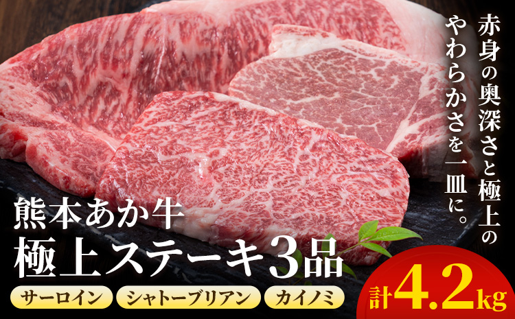 熊本あか牛 極上ステーキ 3品 セット 合計約4.2kg 3種類 サーロイン シャトーブリアン カイノミ 合同会社たべたせいか《30日以内に出荷予定(土日祝除く)》熊本県 菊池市 肉 牛肉 お肉 あか牛 ステーキ 希少部位 詰め合わせ 食べ比べ 熊本県産 冷凍 送料無料---069-1231---