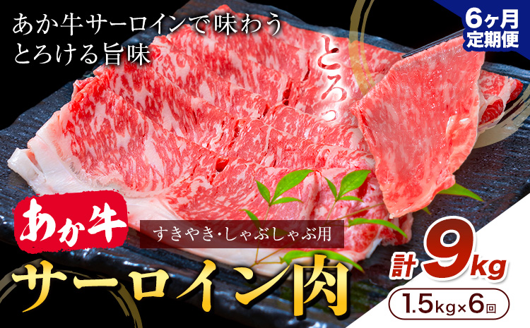 あか牛 すきやき・しゃぶしゃぶ用 サーロイン肉 6ヶ月定期便 合計9kg 1回 500g×3パック 合同会社たべたせいか《お申し込みの翌月から出荷》赤牛 牛肉 肉 お肉 すきやき すき焼き しゃぶしゃぶ サーロイン 熊本県産 菊池市 送料無料 ---069-1613---