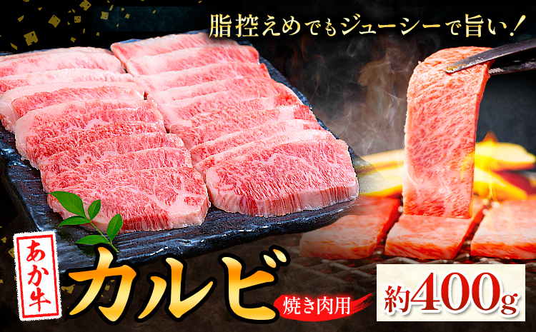 あか牛カルビ 焼き肉用 約400g 合同会社たべたせいか《30日以内に出荷予定(土日祝除く)》熊本県 菊池市 肉 牛肉 お肉 和牛 あか牛 焼き肉 焼肉 やきにく BBQ バーベキュー カルビ 熊本県産 冷凍 送料無料---069-2058---