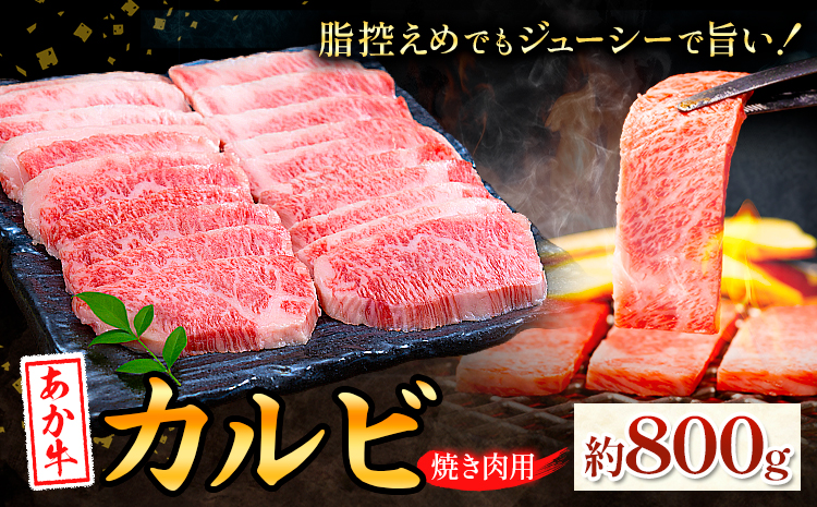あか牛カルビ 焼き肉用 約800g 合同会社たべたせいか《30日以内に出荷予定(土日祝除く)》熊本県 菊池市 肉 牛肉 お肉 和牛 あか牛 焼き肉 焼肉 やきにく BBQ バーベキュー カルビ 熊本県産 冷凍 送料無料---069-2061---