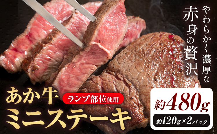 あか牛ミニステーキ ランプ部位使用 約480g 合同会社たべたせいか《30日以内に出荷予定(土日祝除く)》熊本県 菊池市 肉 牛肉 お肉 和牛 あか牛 ステーキ ミニステーキ 個包装 小分け 熊本県産 冷凍 送料無料---069-2062---