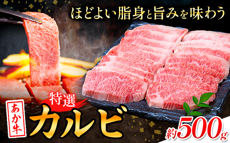 熊本あか牛 特選カルビ 500g 合同会社たべたせいか《30日以内に出荷予定(土日祝除く)》熊本県 菊池市 肉 牛肉 お肉 和牛 あか牛 焼き肉 焼肉 やきにく BBQ バーベキュー 特選 カルビ 熊本県産 冷凍 送料無料---069-2064---