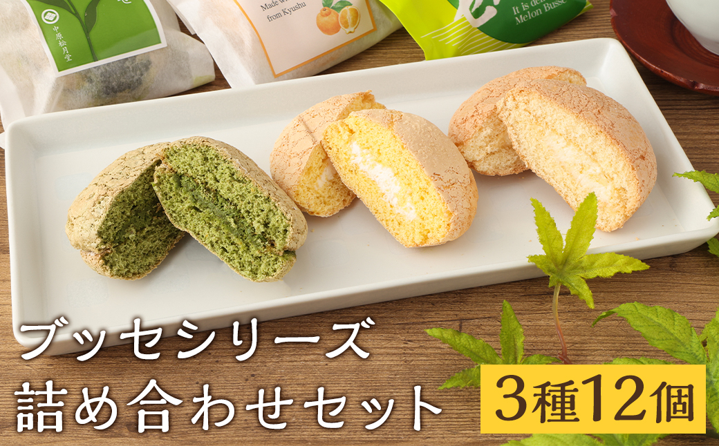 菊池銘菓 ブッセシリーズ詰め合わせセット 1箱(12個入り)《90日以内に出荷予定(土日祝除く)》---074-1267--