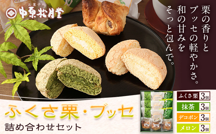 菊池銘菓 ふくさ栗 ・ ブッセ シリーズ 詰め合わせ セット 12個入 1箱 4種類 × 各3個 有限会社中原松月堂 《30日以内に出荷予定(土日祝除く)》熊本県 菊池市 ブッセ 抹茶 メロン ぽんぽん デコポン 栗 ふくさ栗 スイーツ デザート 焼き菓子 和菓子 洋菓子---074-2269---
