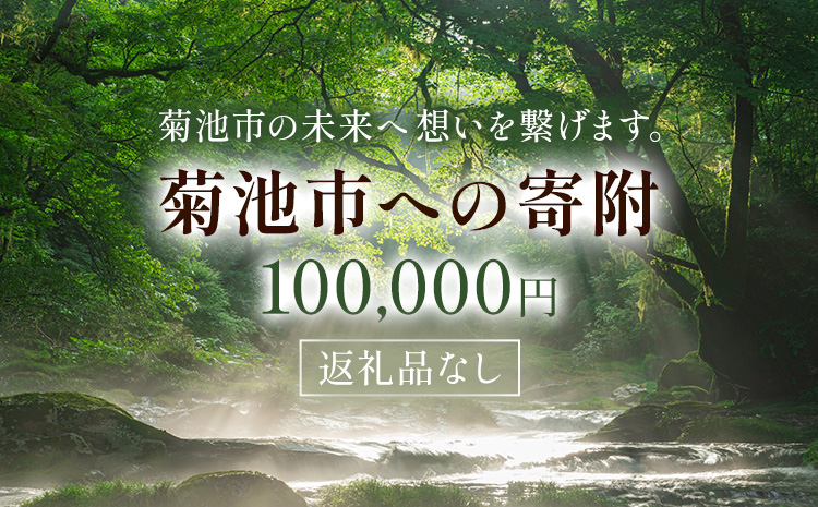 菊池市への寄附(返礼品はありません) 熊本県 菊池市 返礼品なし 100,000円--- 094-0618---