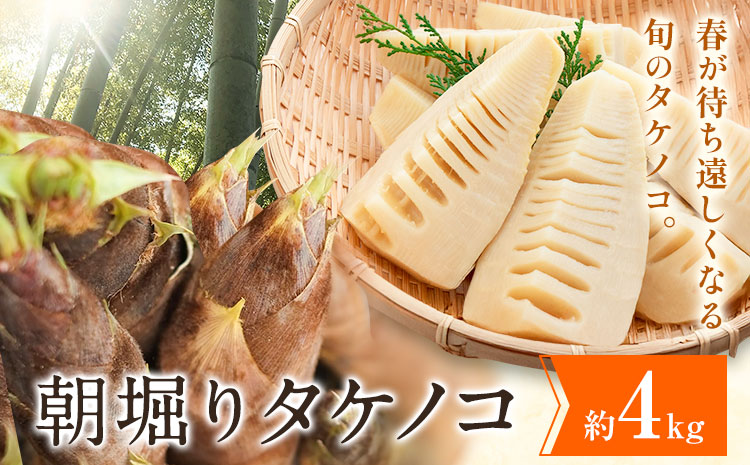 朝掘りタケノコ 4kg 合同会社 原田山業《4月上旬-4月末頃出荷》 熊本県 菊池市 たけのこ タケノコ 朝掘り 一番掘り 春の味覚 旬 国産---098-2648---