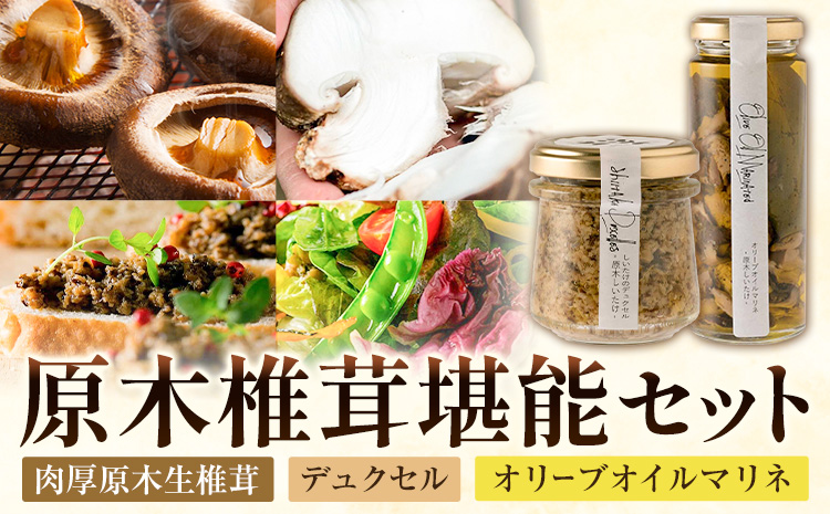 原木椎茸堪能セット 肉厚原木生椎茸 500g しいたけのデュクセル 2本 オリーブオイルマリネ 1本 合同会社 原田山業《90日以内に出荷予定(土日祝除く)》熊本県 菊池市 椎茸 しいたけ きのこ 肉厚 デュクセル オリーブオイル マリネ 瓶詰め セット 詰め合わせ---098-2090---