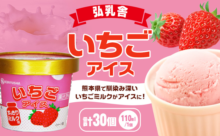 いちごアイス 110ml×30個 合計約3.3L《30日以内に出荷予定(土日祝除く)》アイス 苺アイス アイスクリーム らくのうマザーズ 冷凍 ---0100-3002---