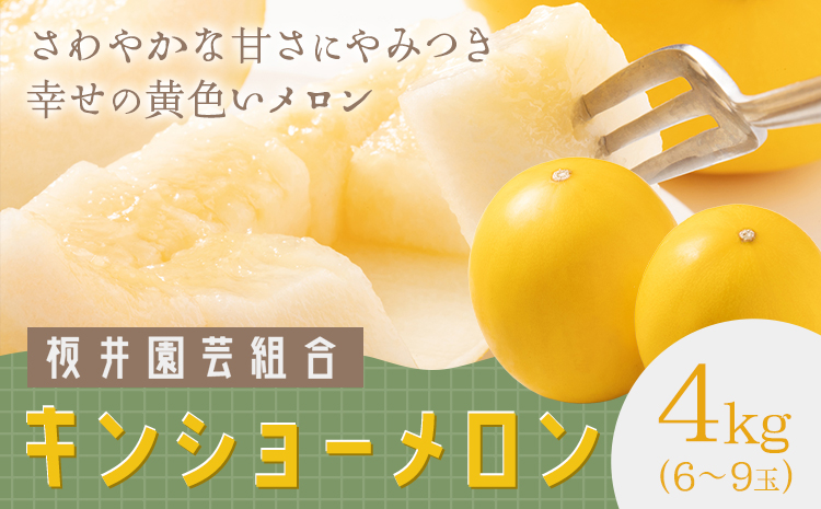 キンショーメロン 4kg(6～9玉) メロン《2026年4月上旬-7月上旬頃出荷》熊本県 菊池市 果物 フルーツ 金鐘 ノーネットメロン 黄色いメロン 菊池市産 熊本県産 九州産 送料無料---101-3001---