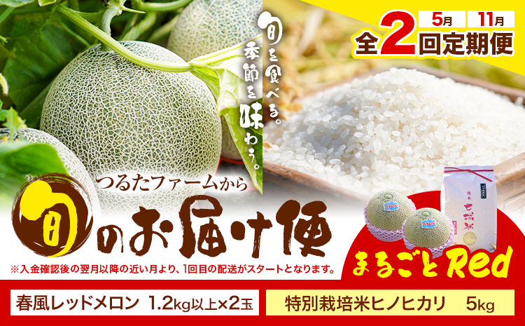 【全2回定期便】つるたファームから旬のお届け便 まるごとRed 特別栽培米 ヒノヒカリ 5kg 春風レッド メロン 2玉 株式会社七城の恵み《メロン5月・米11月出荷予定》熊本県 菊池市 米 メロン ひのひかり 定期便 つるたファーム--- 126-1592---