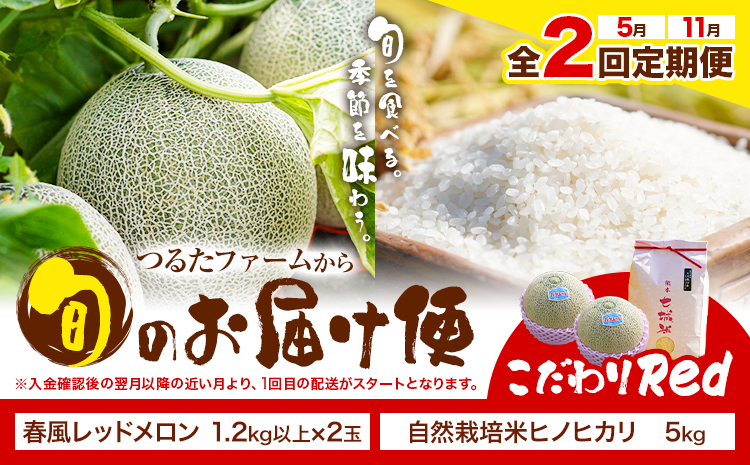 【全2回定期便】つるたファームから旬のお届け便 こだわりRed 自然栽培米 ヒノヒカリ 5kg 春風レッド メロン 2玉 株式会社七城の恵み《メロン5月・米11月出荷予定》熊本県 菊池市 米 メロン ひのひかり 定期便 つるたファーム---126-1590---