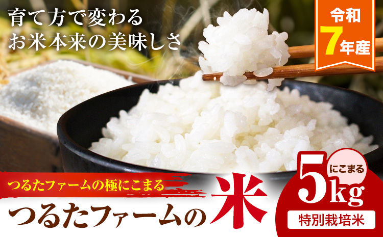 令和7年産 つるたファームの米 極にこまる 特別栽培米 にこまる 5kg 株式会社七城の恵み《11月頃から出荷開始》熊本県 菊池市 米 にこまる つるたファーム---126-2516---