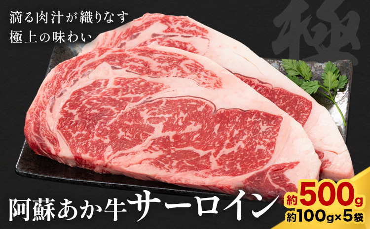 阿蘇あか牛 サーロイン 合計約500g 約100g×5袋 株式会社LARKS《30日以内に出荷予定(土日祝除く)》お肉 和牛 あか牛 ステーキ 熊本県産 九州産 国産 冷凍 送料無料---133-1869---