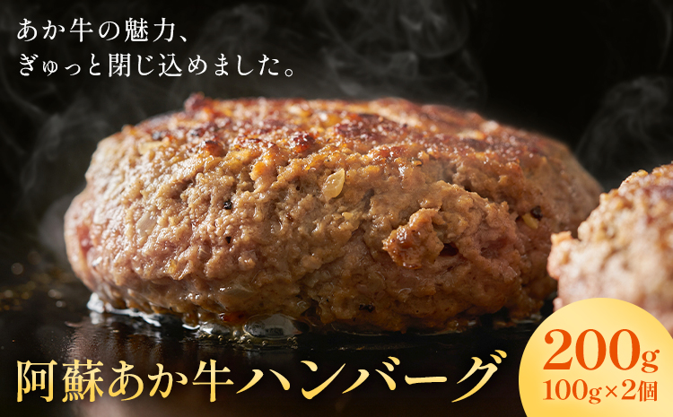 阿蘇あか牛ハンバーグ 200g 100g × 2個 株式会社LARKS《30日以内に出荷予定(土日祝除く)》ハンバーグ あか牛 牛肉 熊本県 冷凍 送料無料---133-2111---