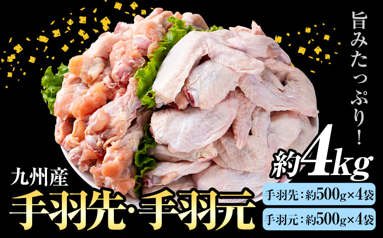 九州産 手羽先(約500g×4袋)・手羽元セット(約500g×4袋) 合計約4kg 《30日以内に出荷予定(土日祝除く)》 ---146-1317---