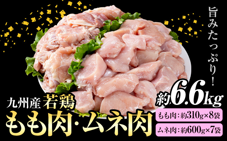 九州産 若鶏もも肉 約2.48kg(約310g×8袋)、若鶏むね肉 約4.2kg(約600g×7袋）合計約6.6kg 《30日以内に出荷予定(土日祝除く)》 ---146-2155---