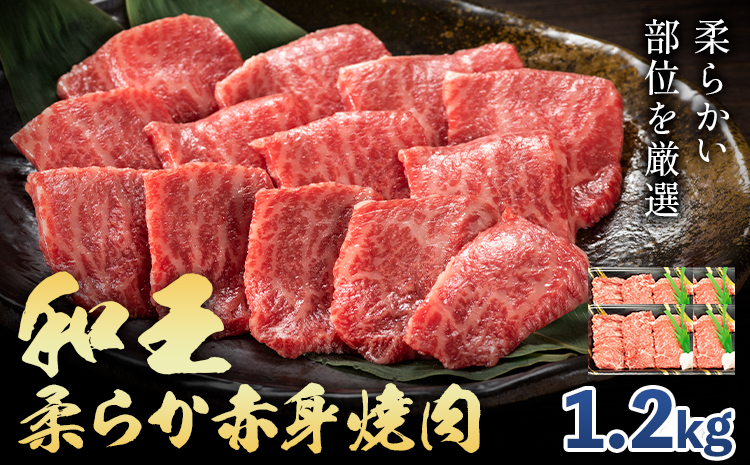 熊本県産A5等級和王 柔らか赤身焼肉 1.2kg 帝神志方ミート株式会社《90日以内に出荷予定(土日祝除く)》熊本県 菊池市 牛肉 肉 お肉 和牛 くまもと黒毛和牛 熊本県産 A5 和王 赤身 赤身肉 柔らか 厳選 焼肉---0149-3010---