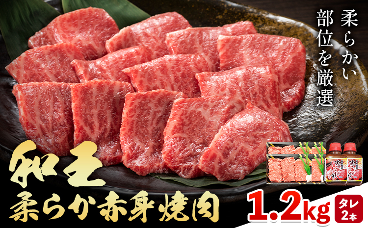 熊本県産A5等級和王 柔らか赤身焼肉 1.2kg タレ付き 2本 帝神志方ミート株式会社《90日以内に出荷予定(土日祝除く)》熊本県 菊池市 牛肉 肉 お肉 和牛 くまもと黒毛和牛 熊本県産 A5 和王 赤身 赤身肉 柔らか 厳選 焼肉 志方のたれ---0149-3011---