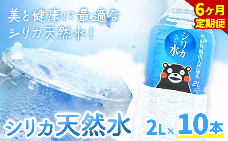 【6ヶ月定期便】シリカ天然水 2L×10本 計60本 株式会社Foody's《申込月の翌月から出荷開始》熊本県 菊池市 シリカ水 飲料水 ミネラルウォーター 水 軟水 鉱水 ペットボトル 定期便---159-1875---