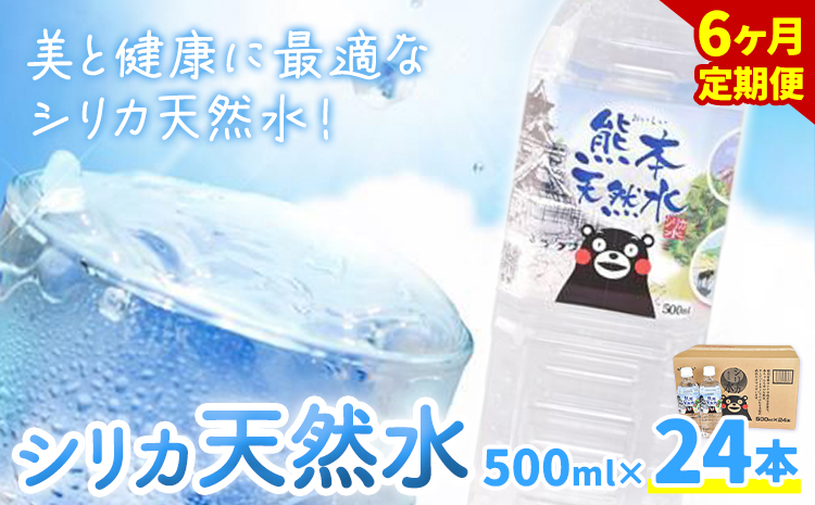 【6ヶ月定期便】シリカ天然水 500ml×24本 計144本 株式会社Foody's《申込月の翌月から出荷開始》熊本県 菊池市 シリカ水 飲料水 ミネラルウォーター 水 軟水 鉱水 ペットボトル 定期便---159-1876---