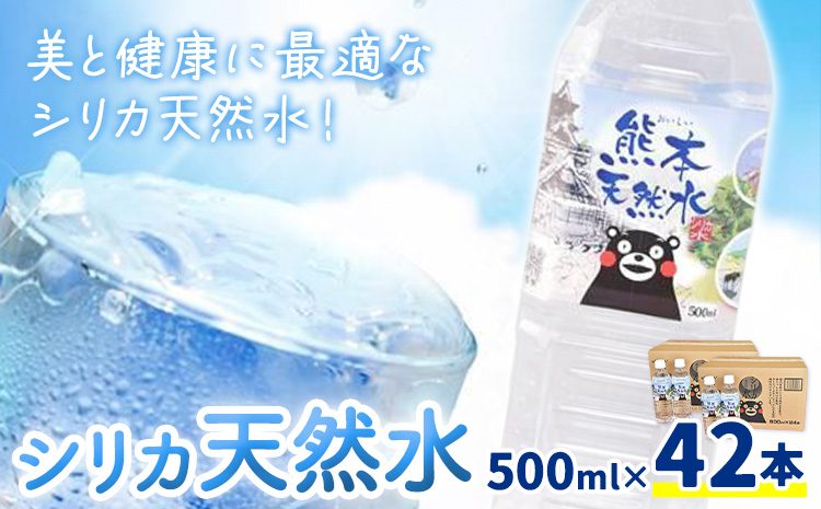 シリカ天然水 500ml×42本 株式会社Foody's《30日以内に出荷予定(土日祝除く)》熊本県 菊池市 シリカ水 飲料水 ミネラルウォーター 水 軟水 鉱水 ペットボトル---159-1877---