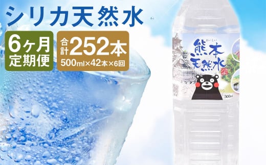 【定期便6回】シリカ天然水 500ml×42本 《お申込み月の翌月から出荷開始》 ---159-1878---