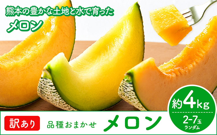 【先行予約】メロン 訳ありメロン 品種おまかせ 約4kg 2-7玉 ランダム 株式会社Foody’s 食彩たかみ《2026年5月下旬-7月下旬頃出荷》 おまかせ ご家庭用 メロン フルーツ 菊池市産 熊本県産 九州産 冷蔵 送料無料---177-2671---