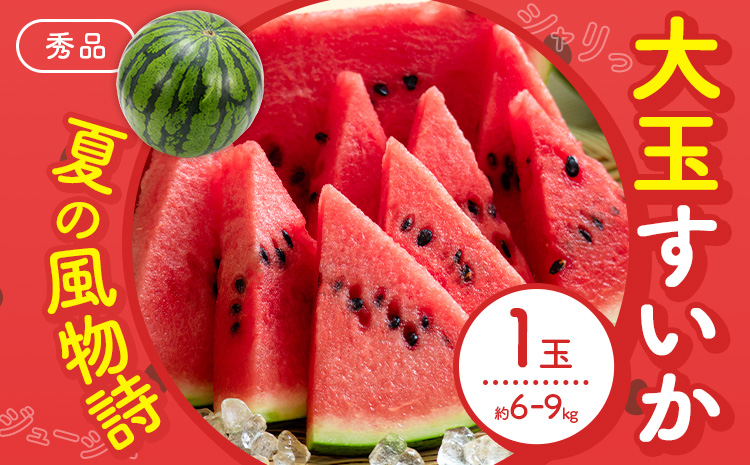 【先行予約】スイカ 大玉すいか 秀品 1玉 約 6kg ～ 9kg 株式会社Foody’s 食彩たかみ 《2026年5月下旬-7月下旬頃出荷》 熊本県 菊池市 フルーツ 果物 スイカ すいか 大玉 九州産 冷蔵 送料無料---177-2672---