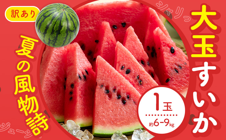 【先行予約】スイカ 訳あり 大玉すいか 1玉 約 6kg ～ 9kg L ～ 3L 混合 株式会社Foody’s 食彩たかみ 《2026年5月下旬-7月下旬頃出荷》 熊本県 菊池市 フルーツ 果物 スイカ すいか 訳あり 大玉 九州産 冷蔵 送料無料---177-2673---