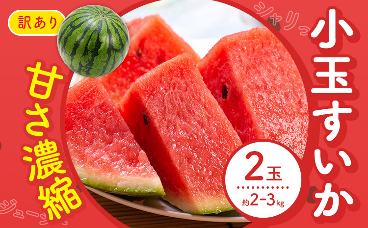 【先行予約】スイカ 訳あり 小玉すいか 2玉 約 2kg ～ 3kg M ～ 3L 混合 株式会社Foody’s 食彩たかみ 《2026年5月下旬-7月下旬頃出荷》 熊本県 菊池市 フルーツ 果物 スイカ すいか 訳あり 小玉 九州産 冷蔵 送料無料---177-2675---