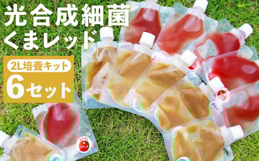 光合成細菌 ( 2L培養キット × 6セット )《90日以内に出荷予定(土日祝除く)》st-p---178-2190---