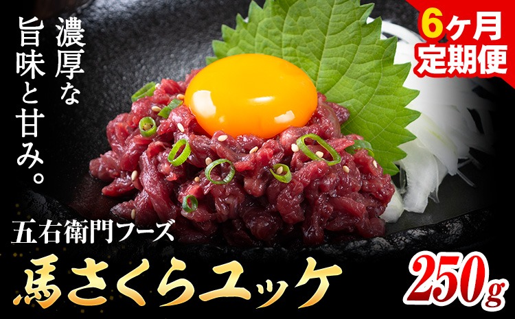 【6ヶ月定期便】馬肉 馬さくらユッケ 250g×6回 合計1.5kg 五右衛門フーズ 《お申込み翌月から出荷》 熊本県 菊池市 馬肉 肉 国産 馬 さくら ユッケ 小分け---187-2320---