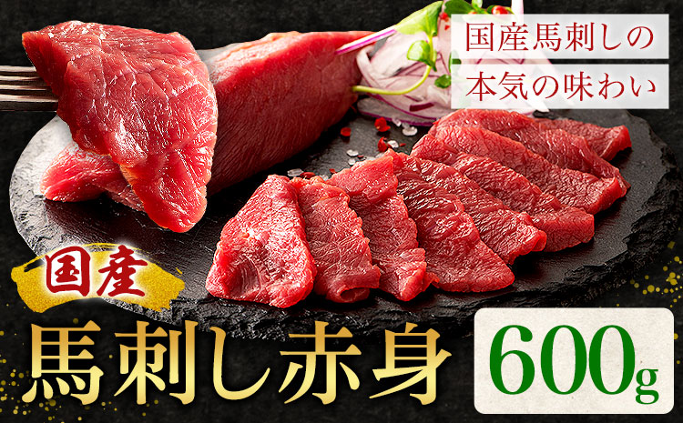 国産 馬刺し 赤身 600g 亀井通産株式会社(株式会社フジチク) 《30日以内に出荷予定(土日祝除く)》 小分け 馬肉 刺身 冷凍 熊本県 菊池市 送料無料 ---189-2387---